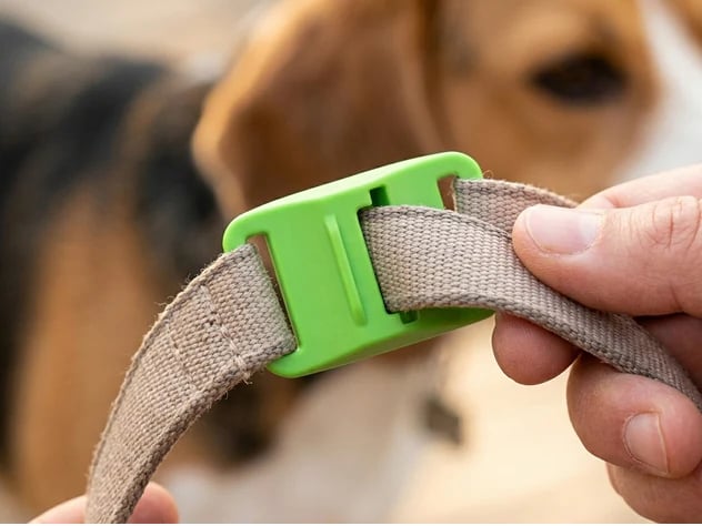 🐕Last Day 60% OFF-12 Months Flea and Tick Free
