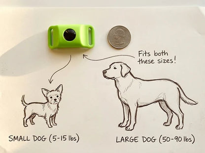 🐕Last Day 60% OFF-12 Months Flea and Tick Free