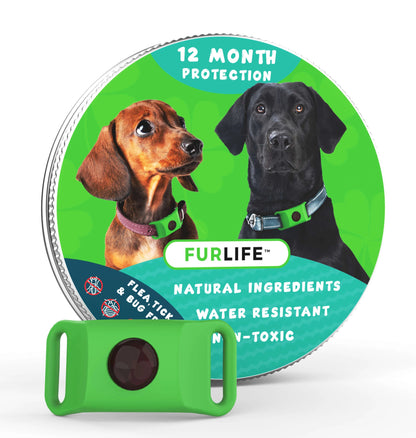 🐕Last Day 60% OFF-12 Months Flea and Tick Free