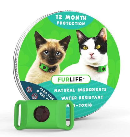🐕Last Day 60% OFF-12 Months Flea and Tick Free