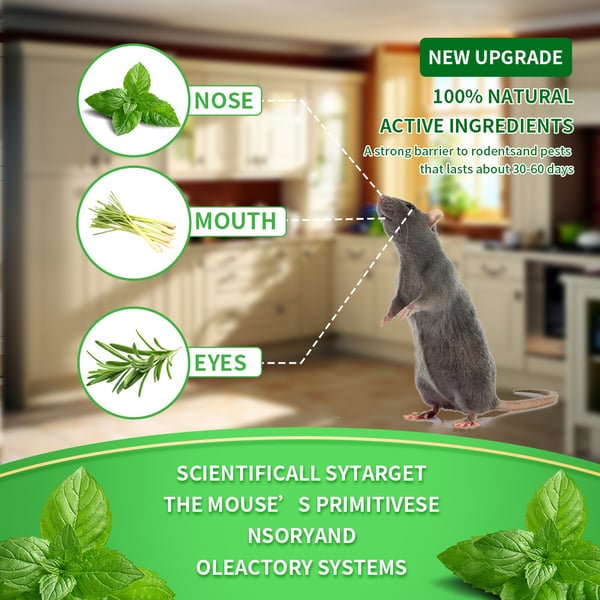 💥LAST DAY SALE 50%OFF💥🐀 10-Pack Popular Natural Rodent Repellent Balls