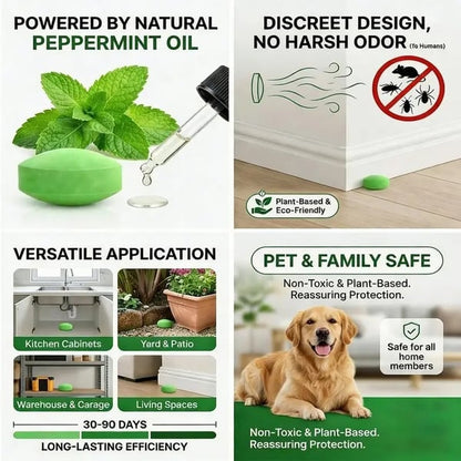 💥LAST DAY SALE 50%OFF💥🐀 10-Pack Popular Natural Rodent Repellent Balls