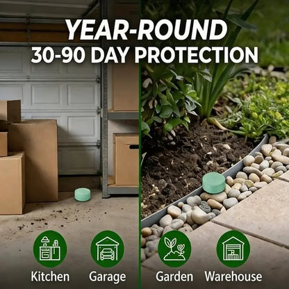 💥LAST DAY SALE 50%OFF💥🐀 10-Pack Popular Natural Rodent Repellent Balls