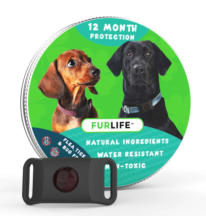 🐕Last Day 60% OFF-12 Months Flea and Tick Free